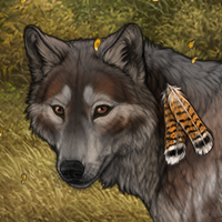 Forest Prince Headshot