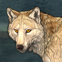 Wolf Headshot