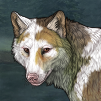 Adventurine Headshot