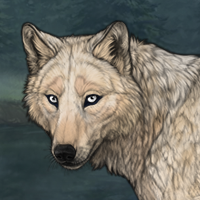 The Pale Wolf Headshot