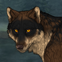 Wolf Headshot