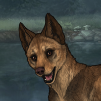 Enclave Pup Headshot