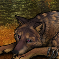 Wolf Headshot