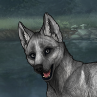 Vanyssi Pup Headshot