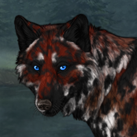 AmberPelt S Headshot