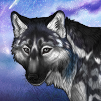 Vili Headshot