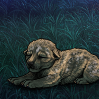 New Runt Puppy Headshot