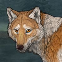 Selkie Headshot