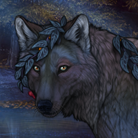 Eveningflicker Headshot