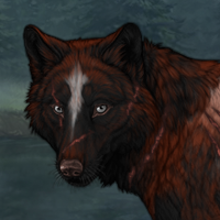 Wolf Headshot