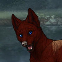 Crimson'Pup Headshot