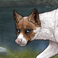 AMB - Piebald Headshot