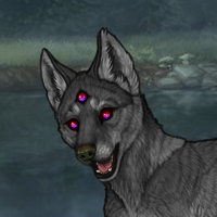 GrayDarker Total eclipse Headshot