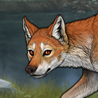 fox eyes Headshot