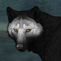 Wolf Headshot