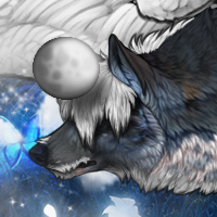 Wolf Headshot