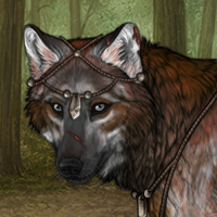 Wolf Headshot