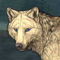 Wolf Headshot