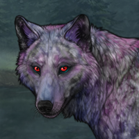 Nova Winterwolf Headshot