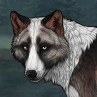 Collie Headshot