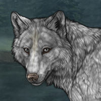 Birch Fang Headshot