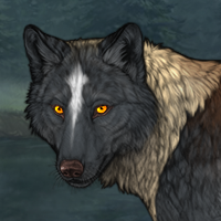 Wolf Headshot