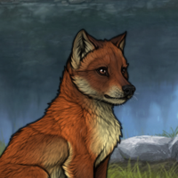 Fox {sell} Headshot