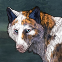 TI F 4 Marks Piebald Headshot