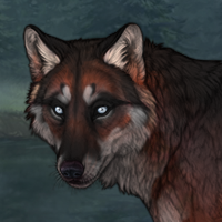 realgar husky salcou Headshot