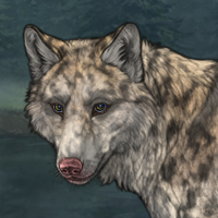 Dappled Pelt Headshot