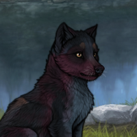 Blueschist Headshot