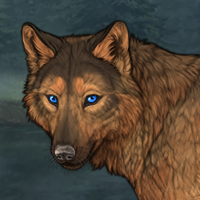 Kodiakpaw C Headshot