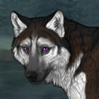 Piebald: Zerdava Headshot