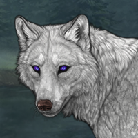 Graypelt Headshot