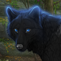 Wolf Headshot
