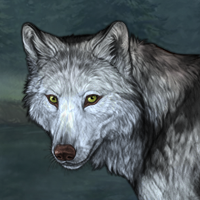 Wolf Headshot