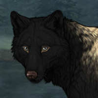 Wolf Headshot