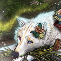 Wolf Headshot