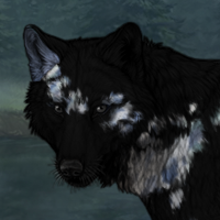 Patches: Mottled Headshot