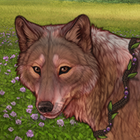 Majesty Headshot