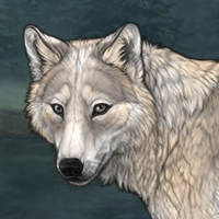 Circe Headshot