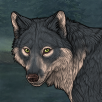 Wolf Headshot