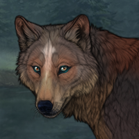 The Star-marked Wolf Headshot