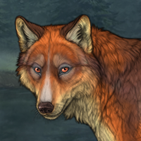 Fox of endless breeze Headshot