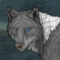 Wolf Headshot