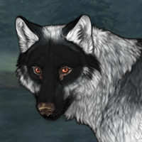 Wolf Headshot