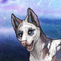 Piebald Headshot