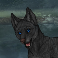 Onyx Female Headshot