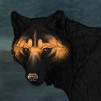 Wolf Headshot