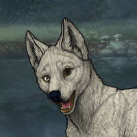 BlackPaw Headshot